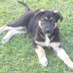 Kira
